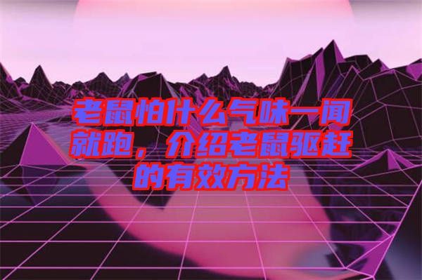 老鼠怕什么氣味一聞就跑，介紹老鼠驅(qū)趕的有效方法
