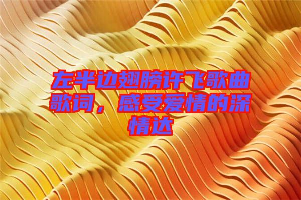 左半邊翅膀許飛歌曲歌詞，感受愛情的深情達(dá)