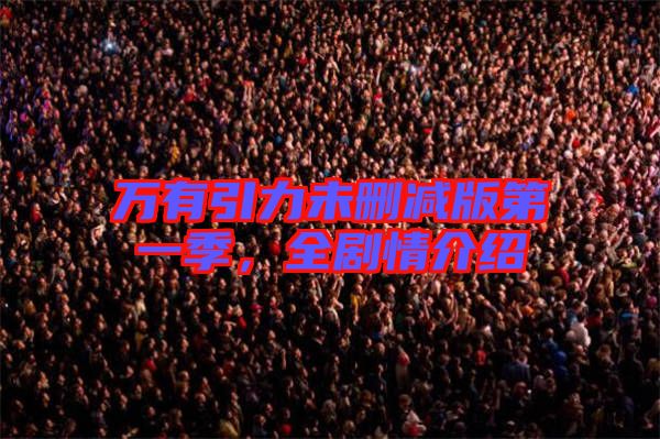 萬有引力未刪減版第一季，全劇情介紹