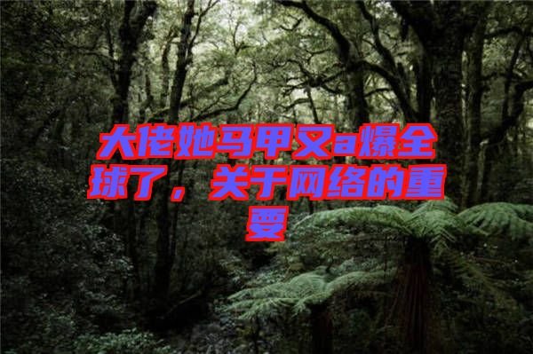 大佬她馬甲又a爆全球了，關于網(wǎng)絡的重要