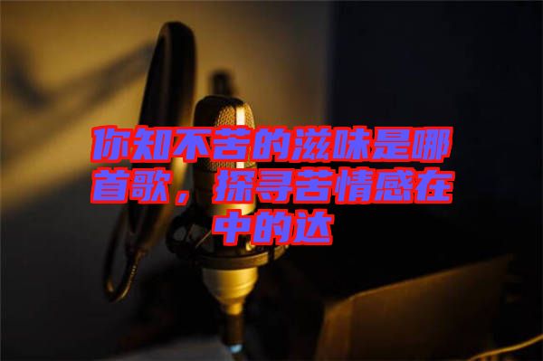 你知不苦的滋味是哪首歌，探尋苦情感在中的達(dá)