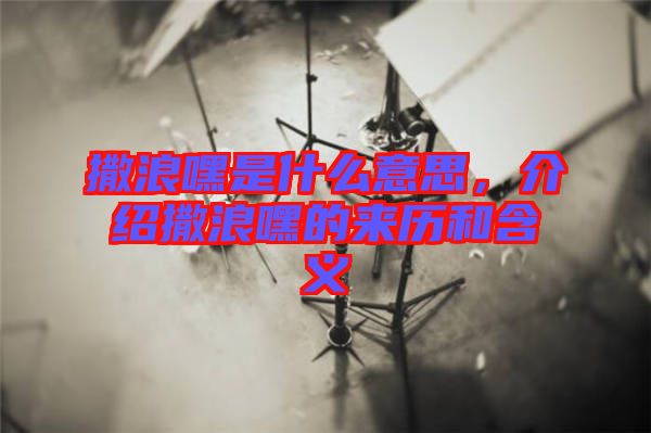 撒浪嘿是什么意思，介紹撒浪嘿的來歷和含義