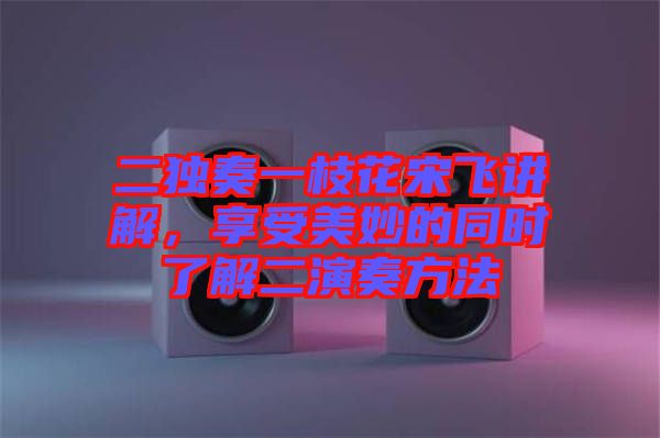 二獨(dú)奏一枝花宋飛講解，享受美妙的同時了解二演奏方法