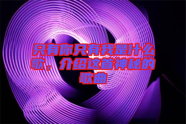 只有你只有我是什么歌，介紹這首神秘的歌曲