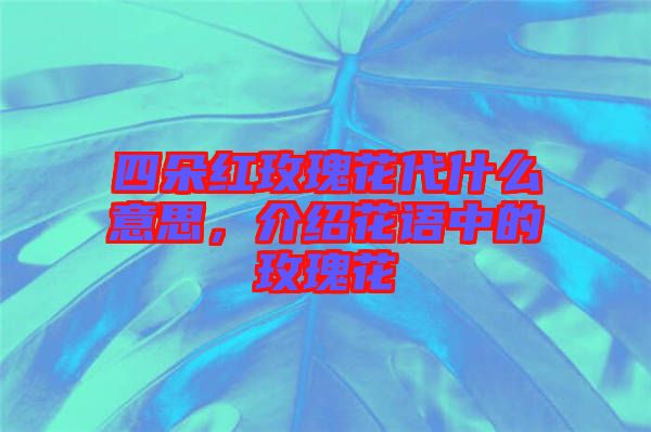 四朵紅玫瑰花代什么意思，介紹花語中的玫瑰花
