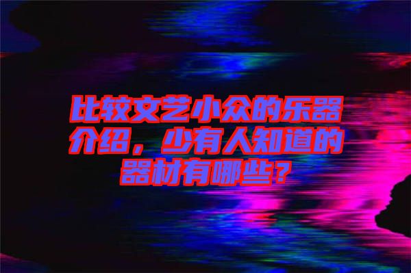 比較文藝小眾的樂器介紹，少有人知道的器材有哪些？