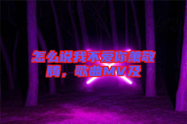 怎么說我不愛你蕭敬騰，歌曲MV及