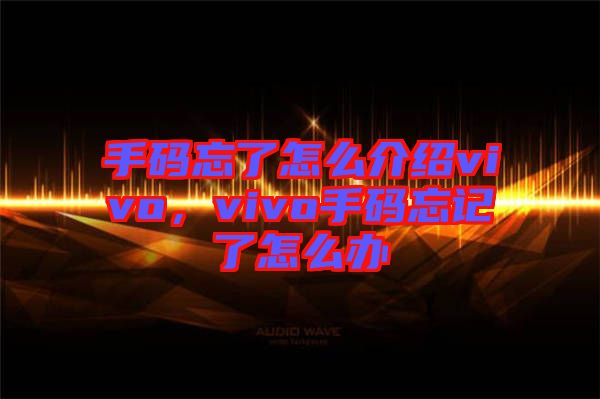手碼忘了怎么介紹vivo，vivo手碼忘記了怎么辦