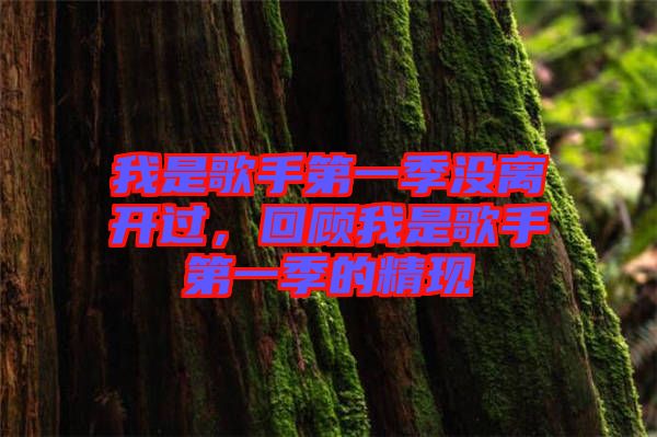 我是歌手第一季沒離開過，回顧我是歌手第一季的精現(xiàn)
