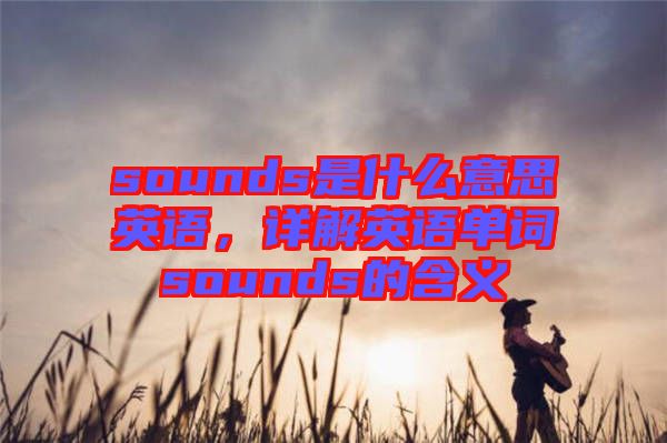 sounds是什么意思英語(yǔ)，詳解英語(yǔ)單詞sounds的含義