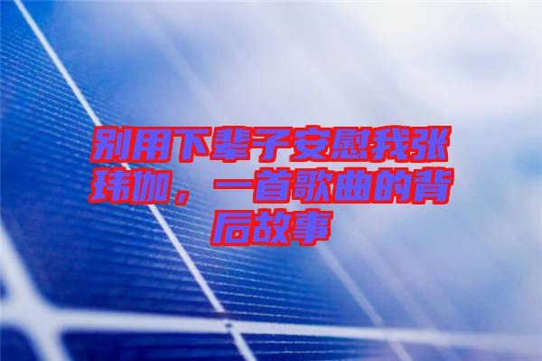 別用下輩子安慰我張瑋伽，一首歌曲的背后故事