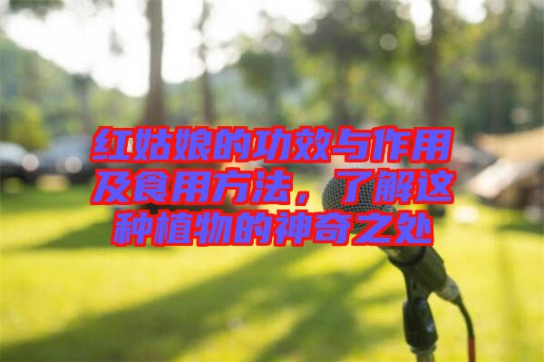 紅姑娘的功效與作用及食用方法，了解這種植物的神奇之處