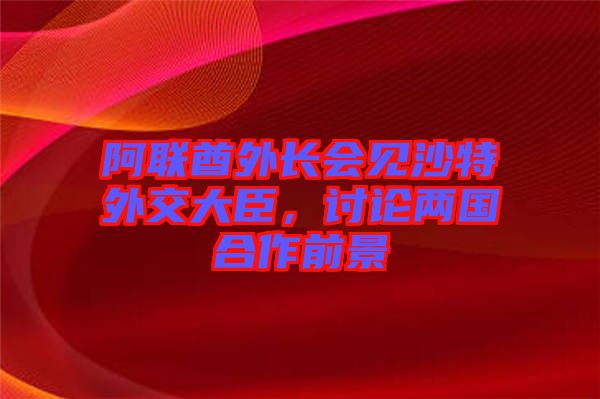 阿聯(lián)酋外長(zhǎng)會(huì)見沙特外交大臣，討論兩國(guó)合作前景