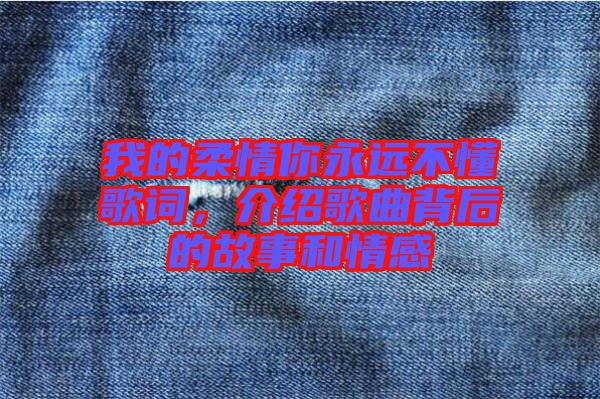 我的柔情你永遠(yuǎn)不懂歌詞，介紹歌曲背后的故事和情感
