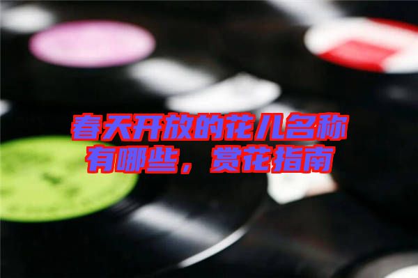 春天開放的花兒名稱有哪些，賞花指南