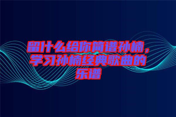 留什么給你簡譜孫楠，學習孫楠經典歌曲的樂譜