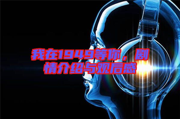 我在1949等你，劇情介紹與觀后感