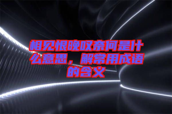 相見(jiàn)恨晚嘆奈何是什么意思，解常用成語(yǔ)的含義