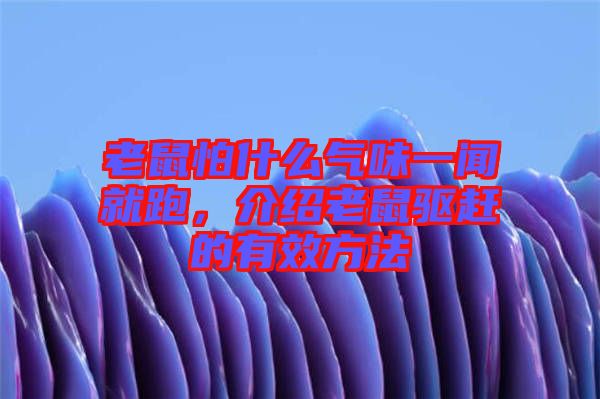 老鼠怕什么氣味一聞就跑，介紹老鼠驅(qū)趕的有效方法