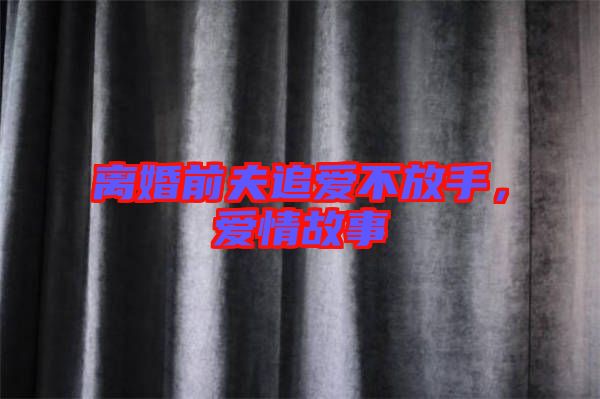 離婚前夫追愛不放手，愛情故事