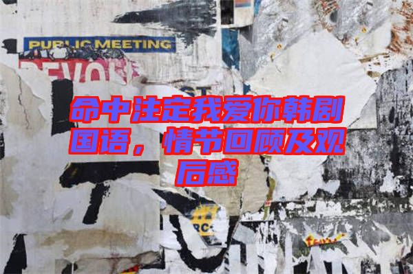 命中注定我愛(ài)你韓劇國(guó)語(yǔ)，情節(jié)回顧及觀后感