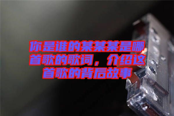 你是誰(shuí)的某某某是哪首歌的歌詞，介紹這首歌的背后故事