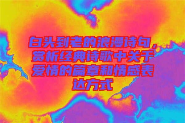 白頭到老的浪漫詩句，賞析經(jīng)典詩歌中關(guān)于愛情的篇章和情感表達(dá)方式