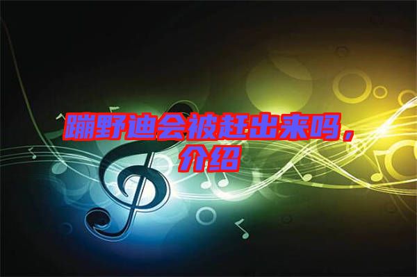 蹦野迪會被趕出來嗎，介紹