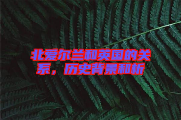 北愛爾蘭和英國的關(guān)系，歷史背景和析