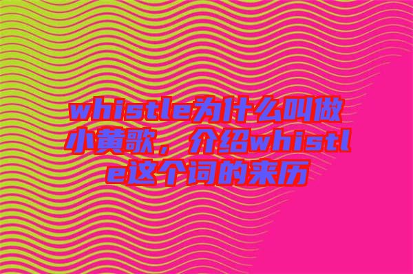 whistle為什么叫做小黃歌，介紹whistle這個(gè)詞的來歷