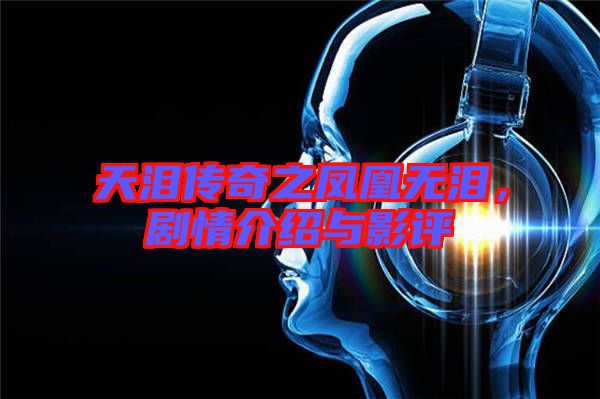 天淚傳奇之鳳凰無(wú)淚，劇情介紹與影評(píng)