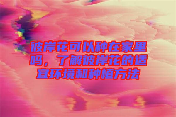 彼岸花可以種在家里嗎，了解彼岸花的適宜環(huán)境和種植方法