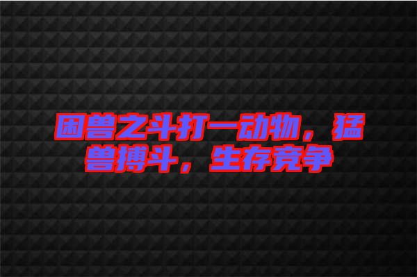 困獸之斗打一動(dòng)物，猛獸搏斗，生存競(jìng)爭(zhēng)