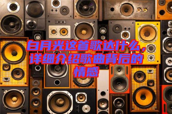 白月光這首歌達(dá)什么，詳細(xì)介紹歌曲背后的情感