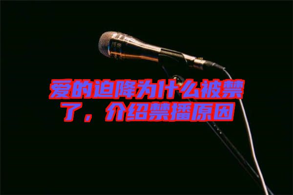 愛的迫降為什么被禁了，介紹禁播原因