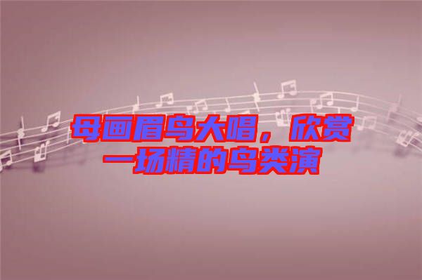 母畫眉鳥大唱，欣賞一場精的鳥類演