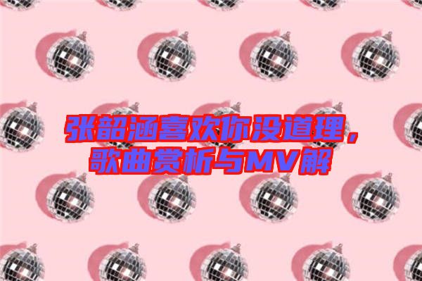 張韶涵喜歡你沒(méi)道理，歌曲賞析與MV解