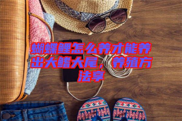 蝴蝶鯉怎么養(yǎng)才能養(yǎng)出大鰭大尾，養(yǎng)殖方法享