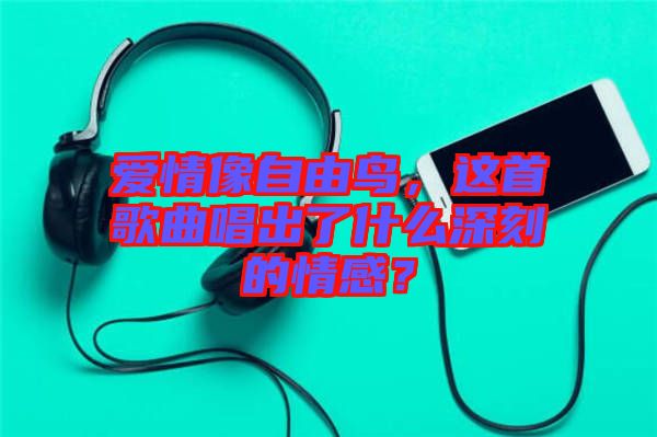 愛情像自由鳥，這首歌曲唱出了什么深刻的情感？