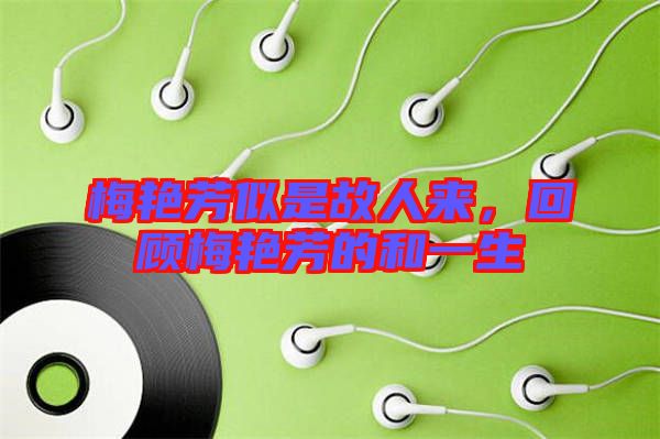 梅艷芳似是故人來，回顧梅艷芳的和一生