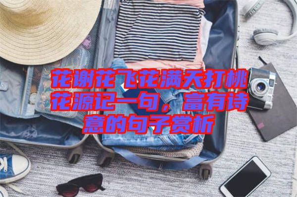 花謝花飛花滿天打桃花源記一句，富有詩(shī)意的句子賞析