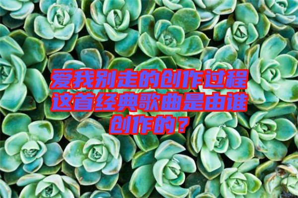 愛我別走的創(chuàng)作過程這首經(jīng)典歌曲是由誰創(chuàng)作的？