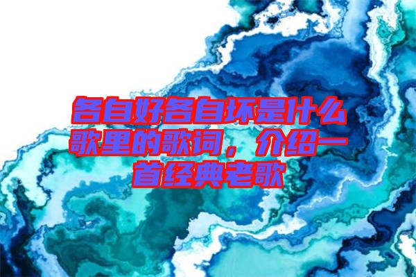 各自好各自壞是什么歌里的歌詞，介紹一首經(jīng)典老歌