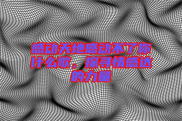 感動(dòng)天地感動(dòng)不了你什么歌，探尋情感達(dá)的力量