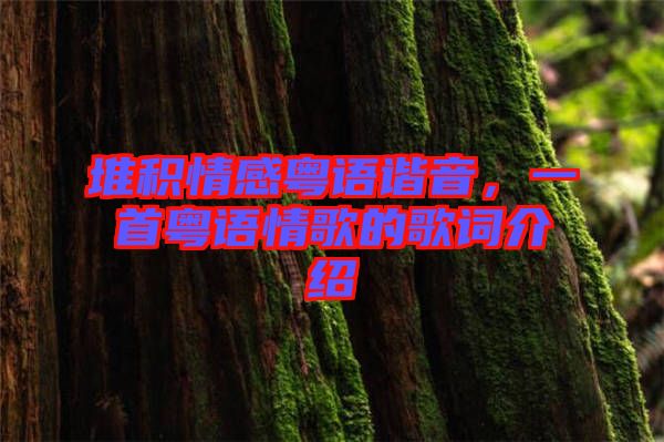 堆積情感粵語諧音，一首粵語情歌的歌詞介紹