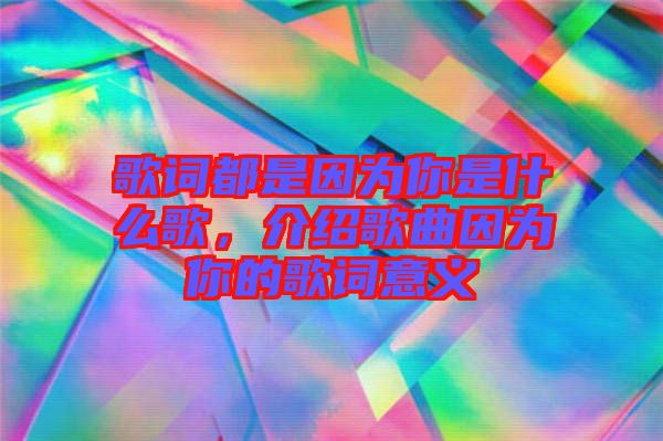 歌詞都是因?yàn)槟闶鞘裁锤?，介紹歌曲因?yàn)槟愕母柙~意義