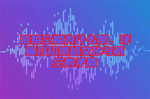 嘻哈空姐為什么禁，詳細介紹嘻哈文化與航空的矛盾