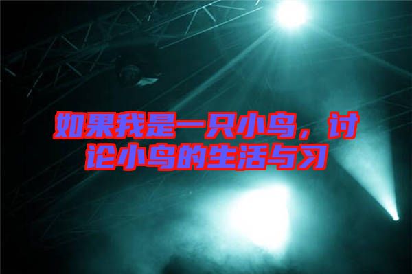 如果我是一只小鳥，討論小鳥的生活與習(xí)