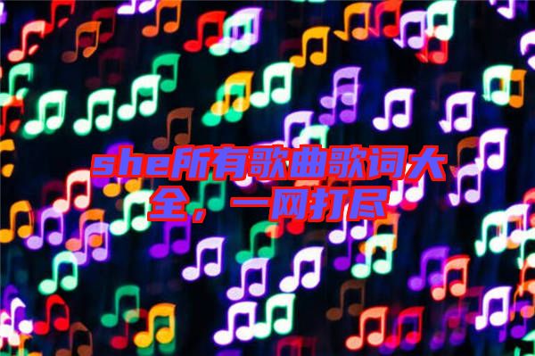 she所有歌曲歌詞大全，一網(wǎng)打盡