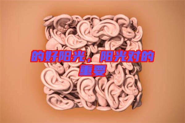 的好陽光，陽光對(duì)的重要